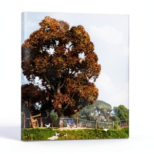 Naxos Classical CD 2001 Release Premium Audio Quality-0